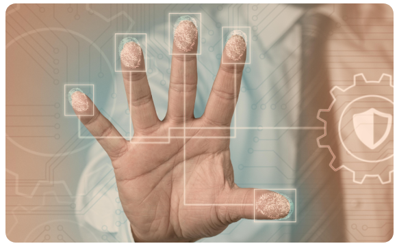 Attendance & leave software for SME